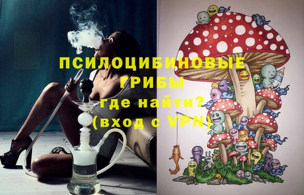 эйфоретик Нефтегорск