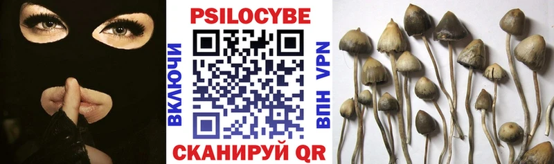 Псилоцибиновые грибы MAGIC MUSHROOMS  как найти закладки  Оханск 